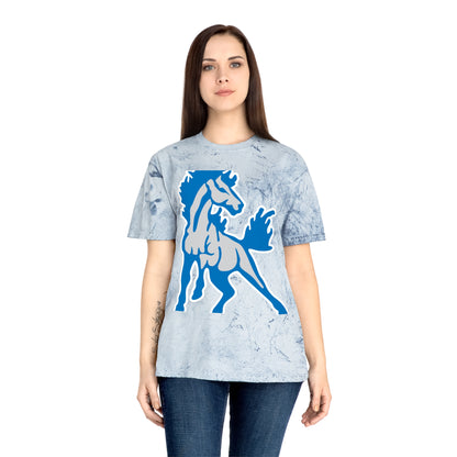 Color Blast School Spirit Tee