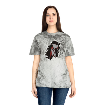 Color Blast School Spirit Tee