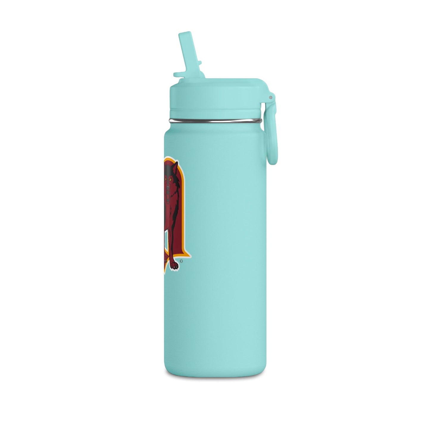 Mini Water Bottle, 20oz