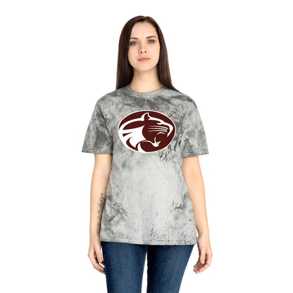 Color Blast School Spirit Tee