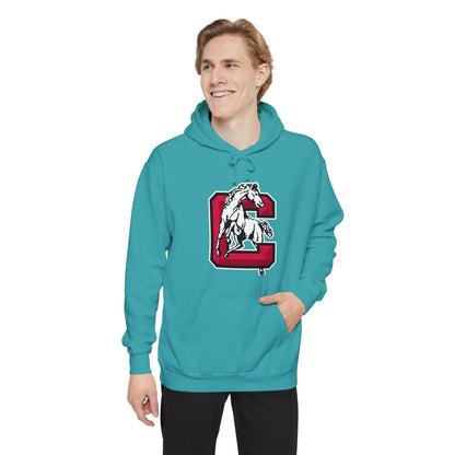 Heavyweight Garment-Dyed Hoodie