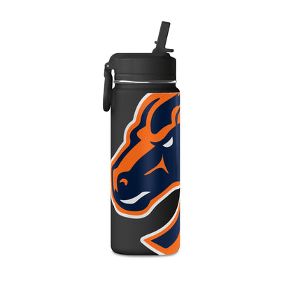 Mini Water Bottle, 20oz
