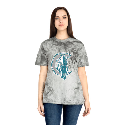 Color Blast School Spirit Tee