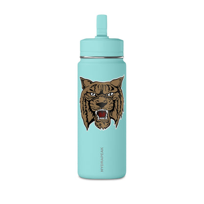Mini Water Bottle, 20oz