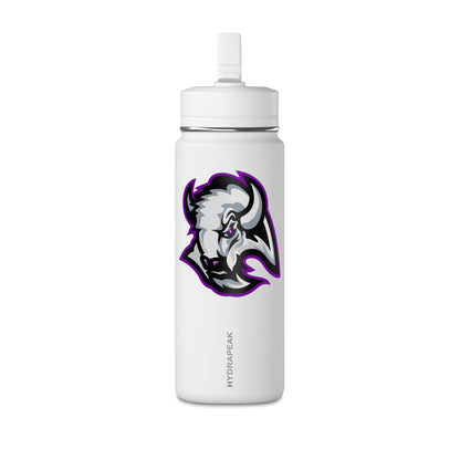 Mini Water Bottle, 20oz