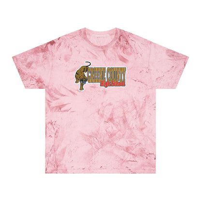 Color Blast School Spirit Tee