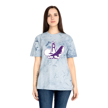 Color Blast School Spirit Tee