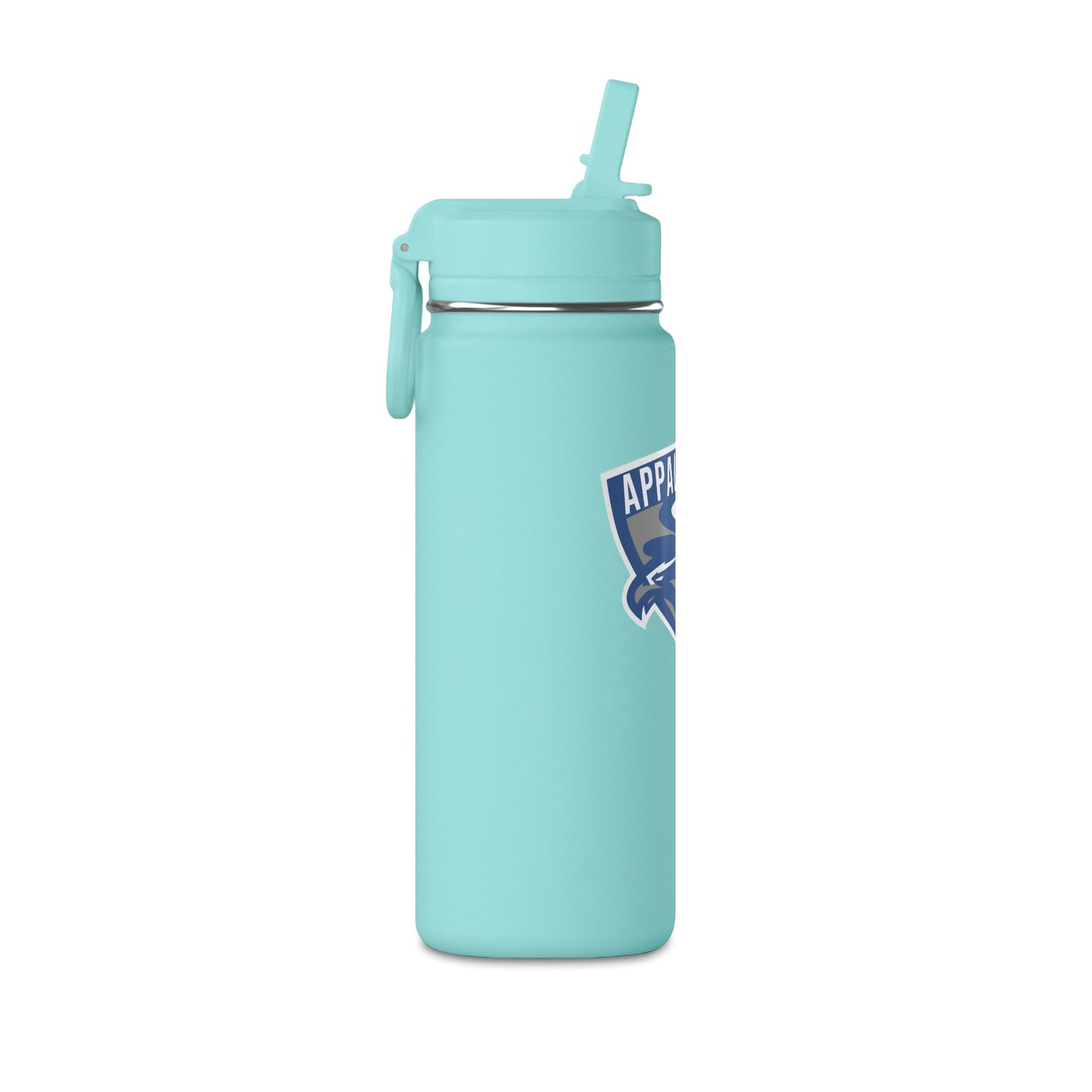 Mini Water Bottle, 20oz