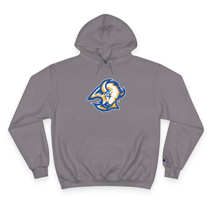 Champion Powerblend Fleece Pullover Hoodie
