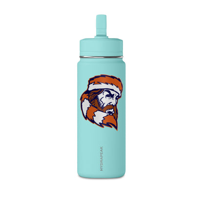 Mini Water Bottle, 20oz