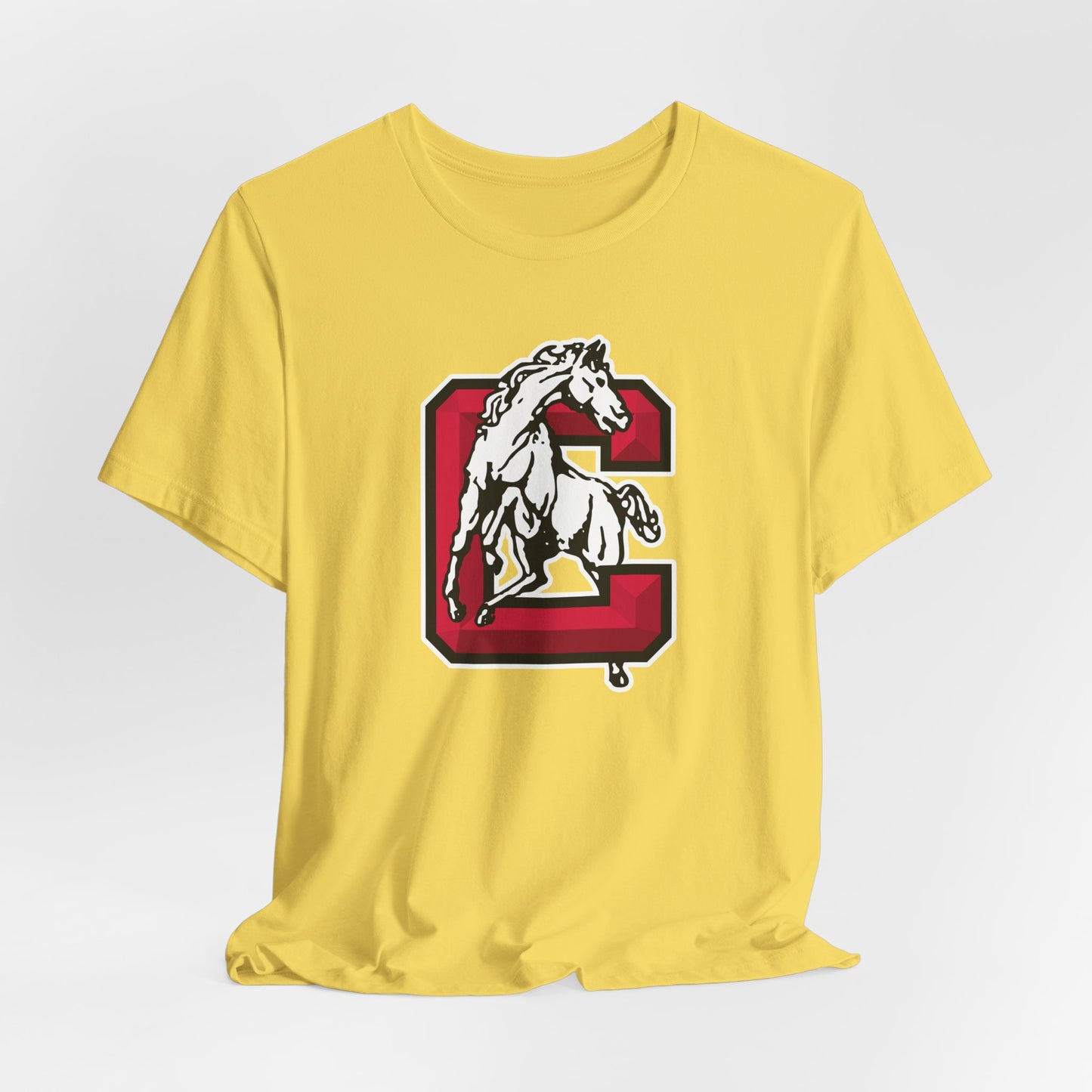 Jersey Short Sleeve Tee