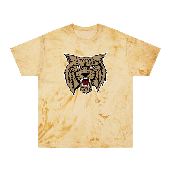Color Blast School Spirit Tee