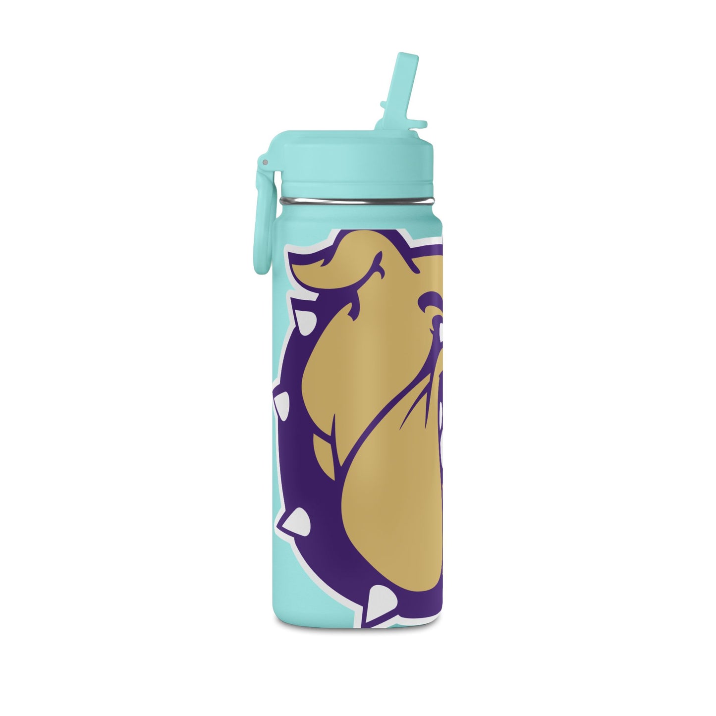 Mini Water Bottle, 20oz