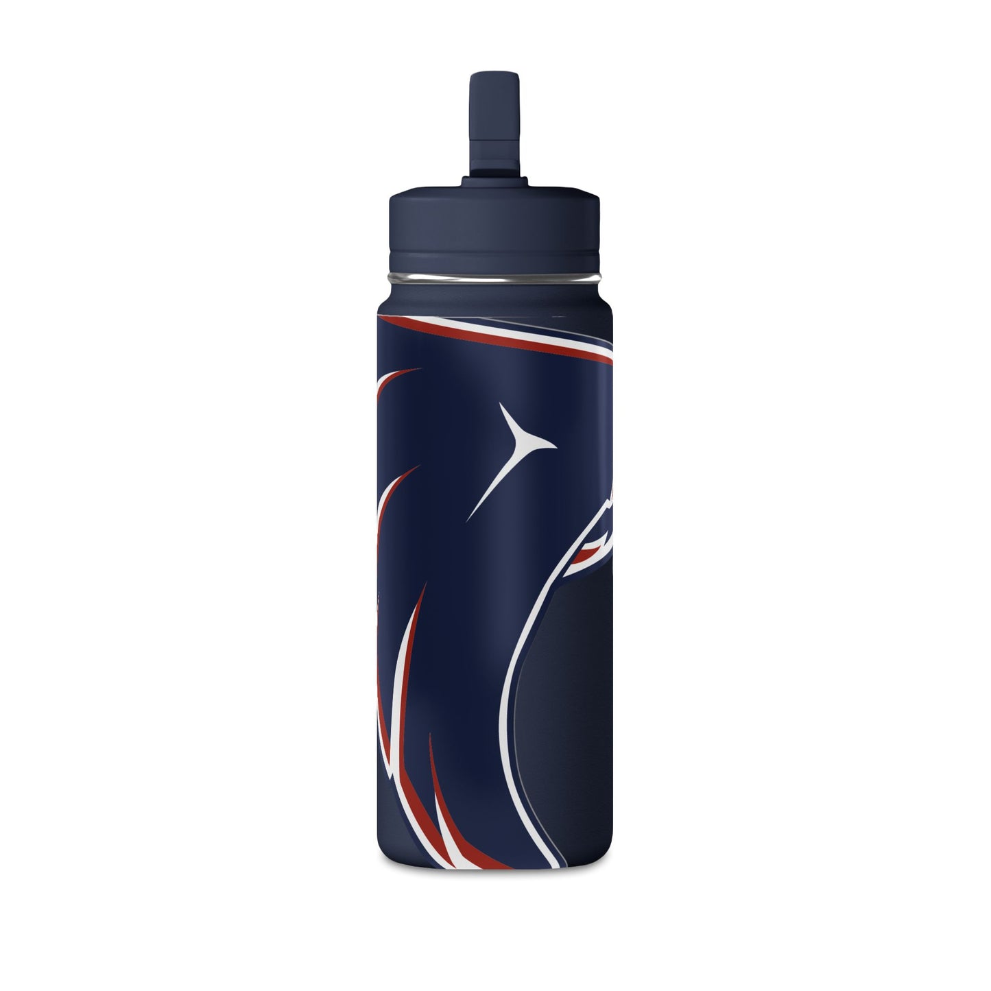 Mini Water Bottle, 20oz