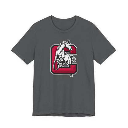 Jersey Short Sleeve Tee