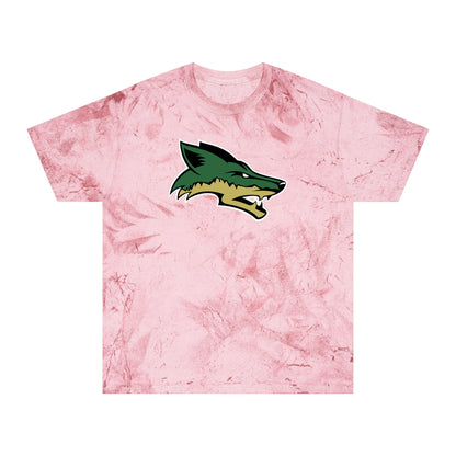 Color Blast School Spirit Tee