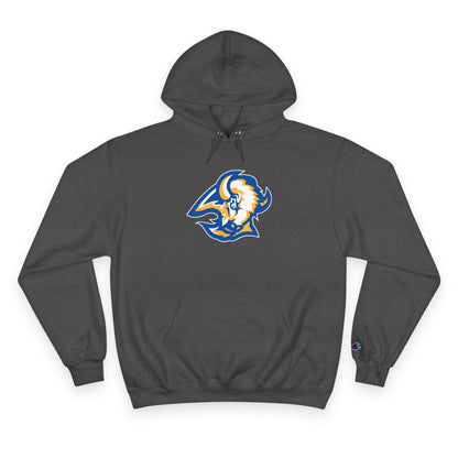 Champion Powerblend Fleece Pullover Hoodie