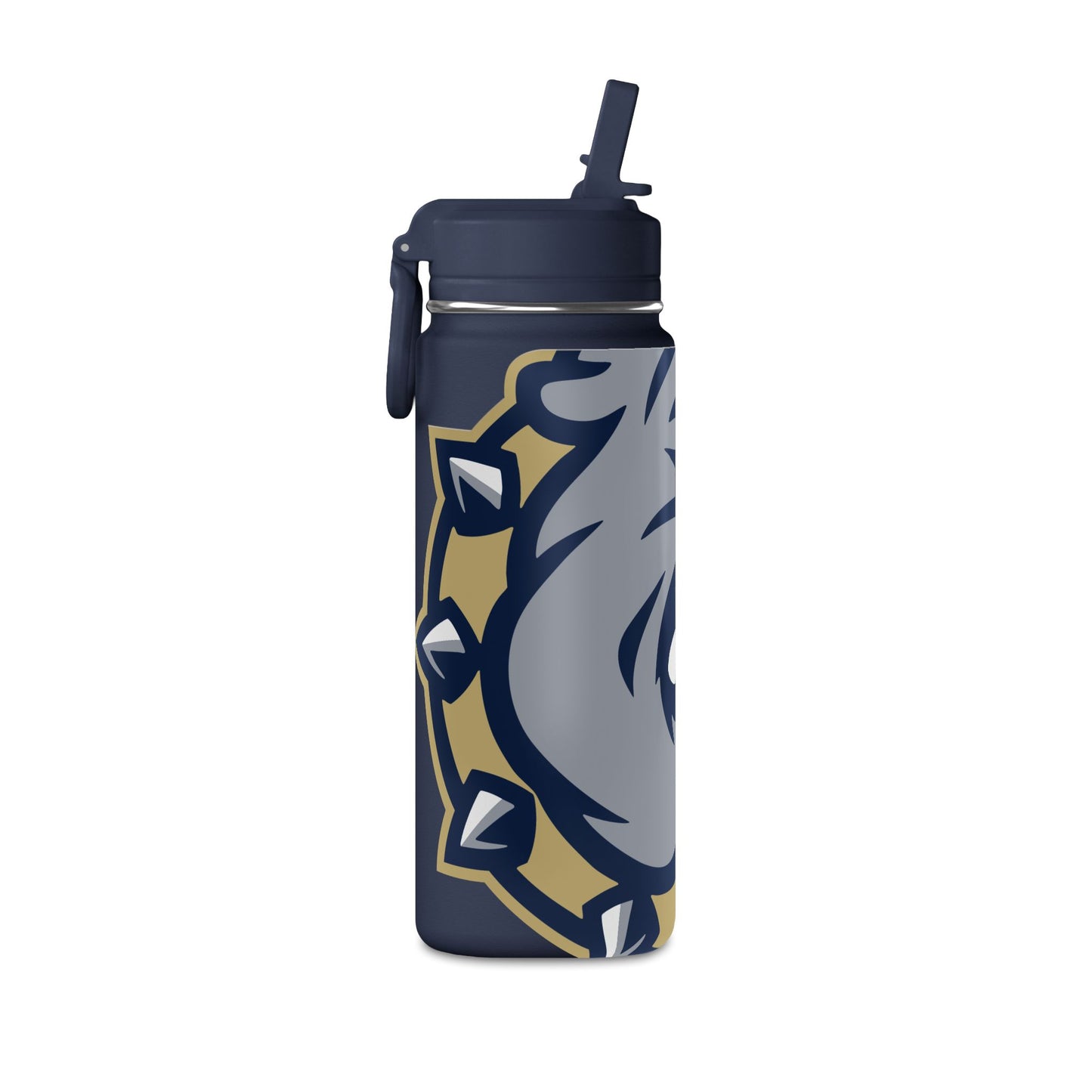 Mini Water Bottle, 20oz