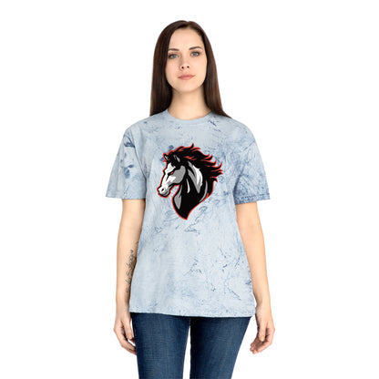 Color Blast School Spirit Tee