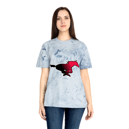 Color Blast School Spirit Tee
