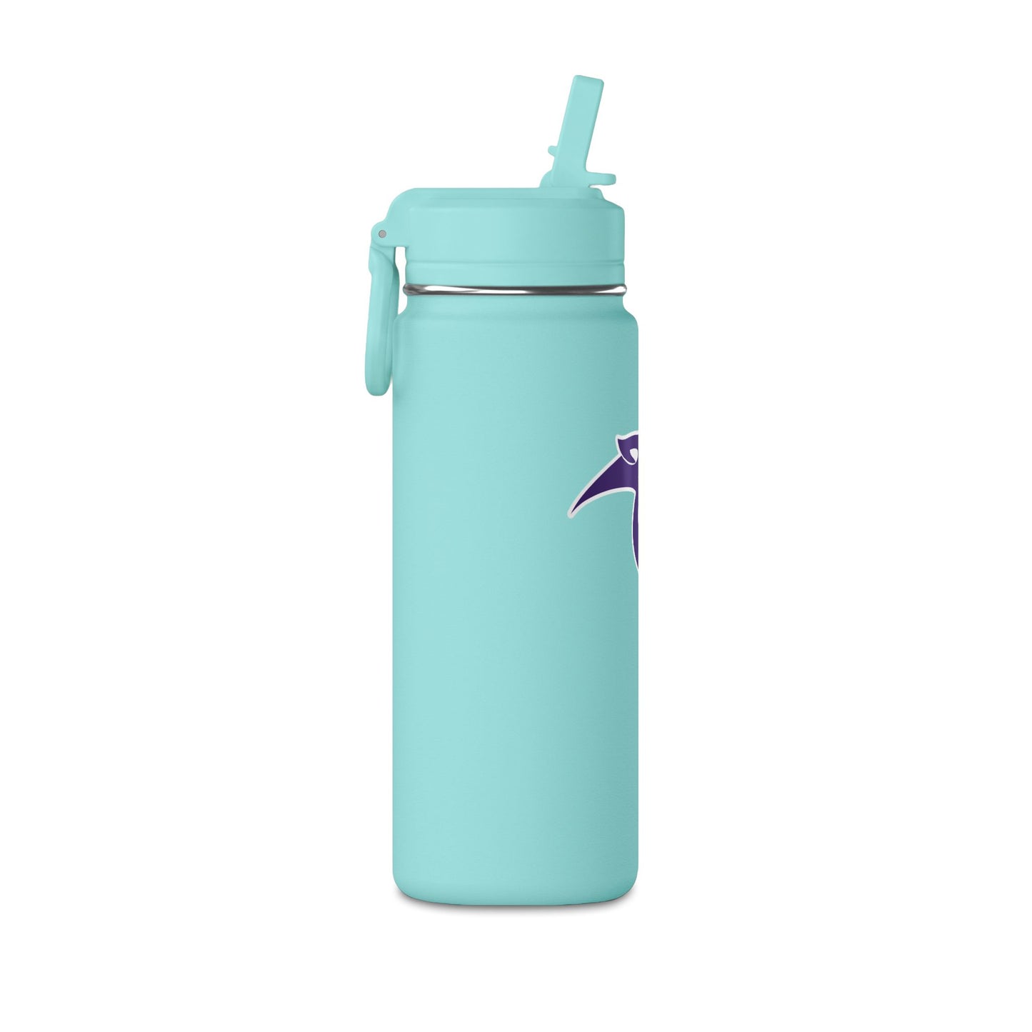 Mini Water Bottle, 20oz