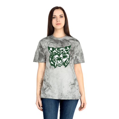 Color Blast School Spirit Tee