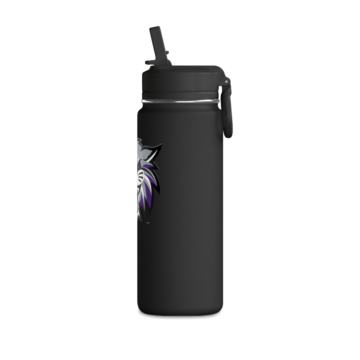 Mini Water Bottle, 20oz