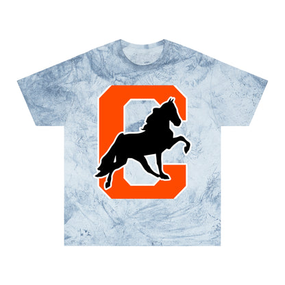 Color Blast School Spirit Tee