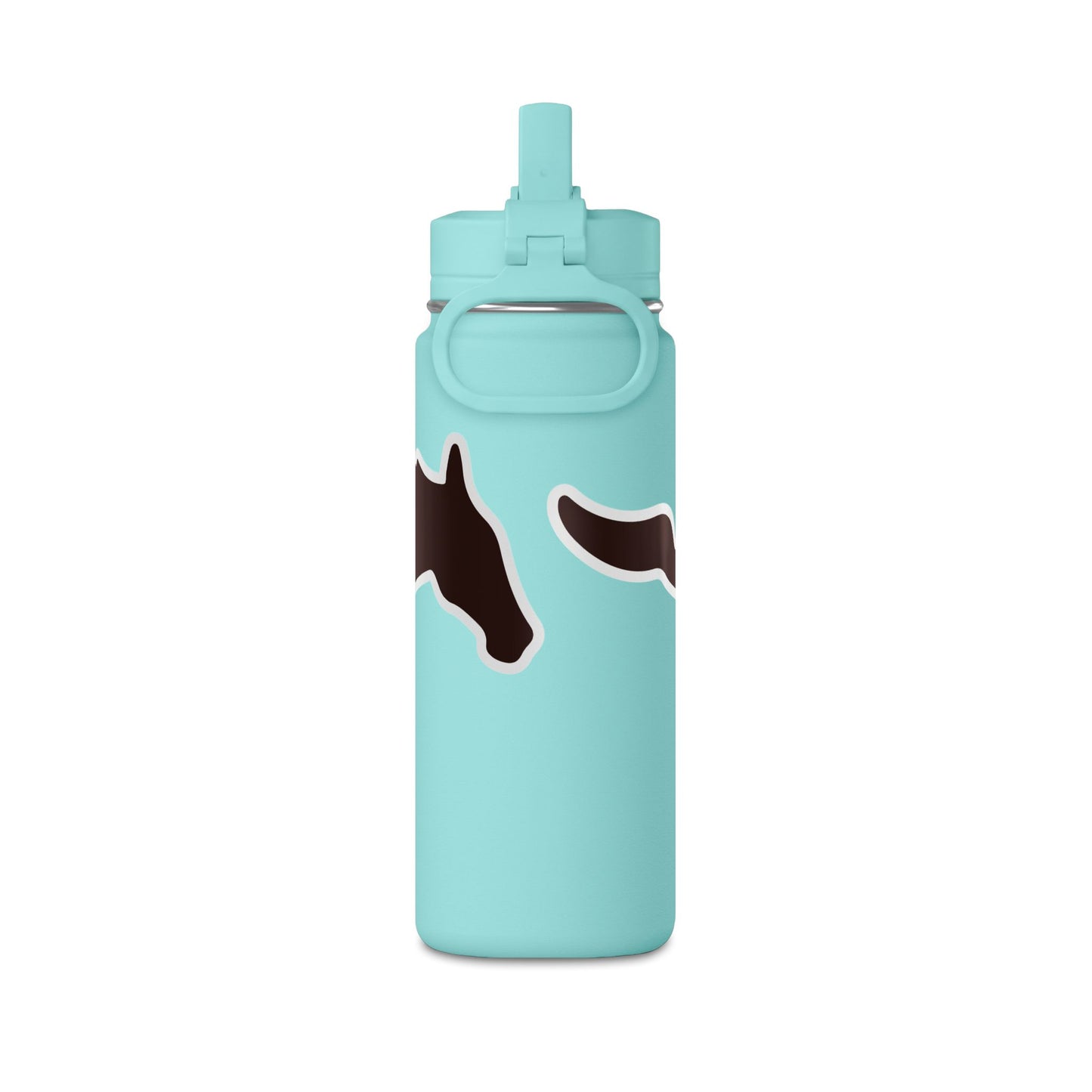 Mini Water Bottle, 20oz