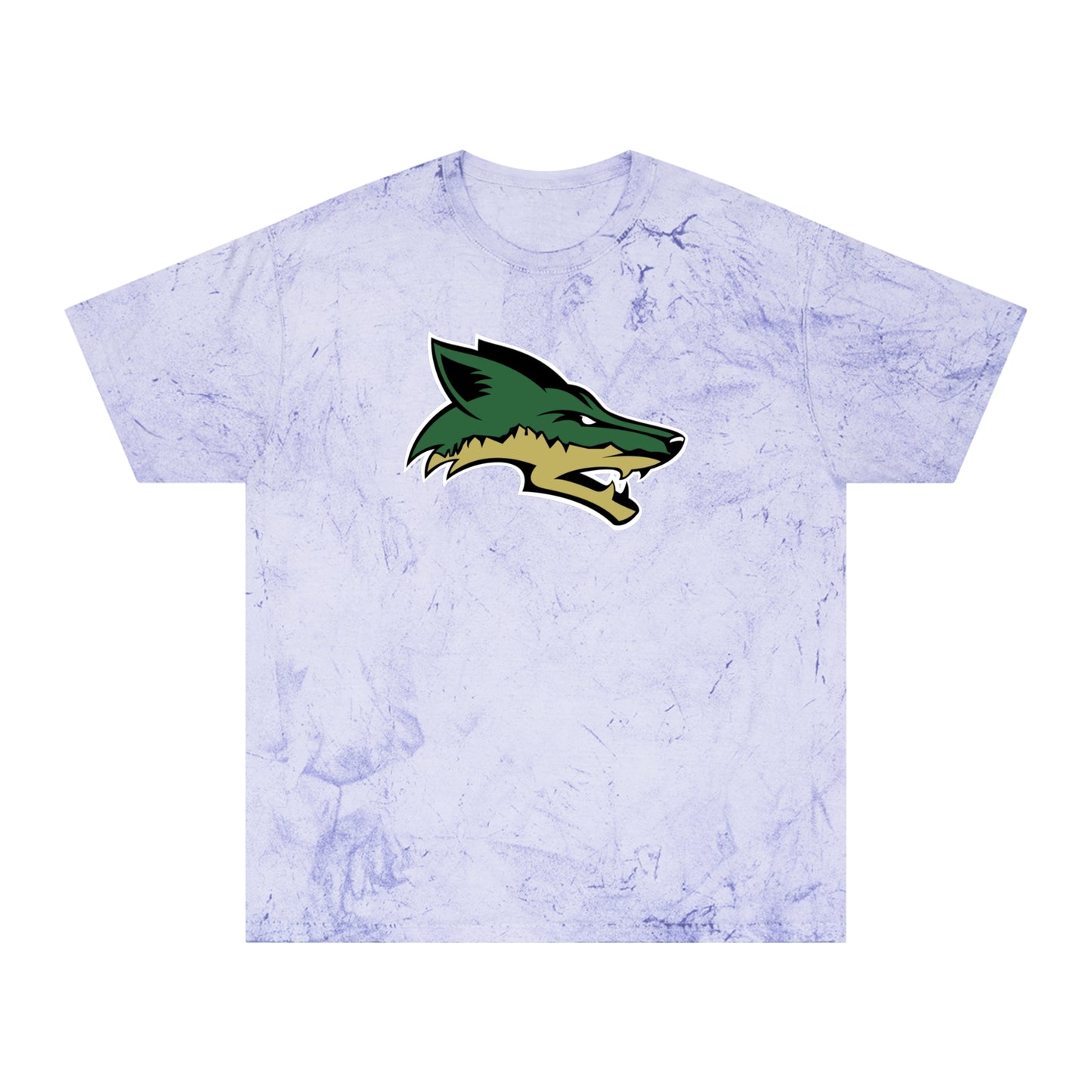 Color Blast School Spirit Tee