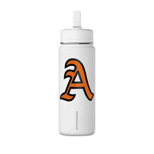 Mini Water Bottle, 20oz