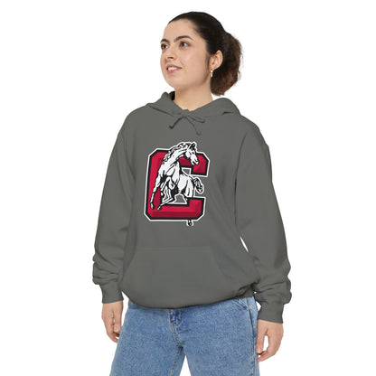 Heavyweight Garment-Dyed Hoodie