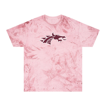Color Blast School Spirit Tee
