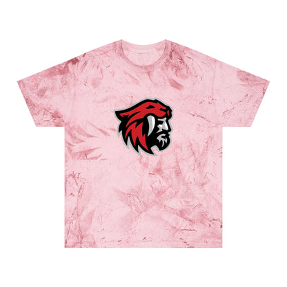 Color Blast School Spirit Tee