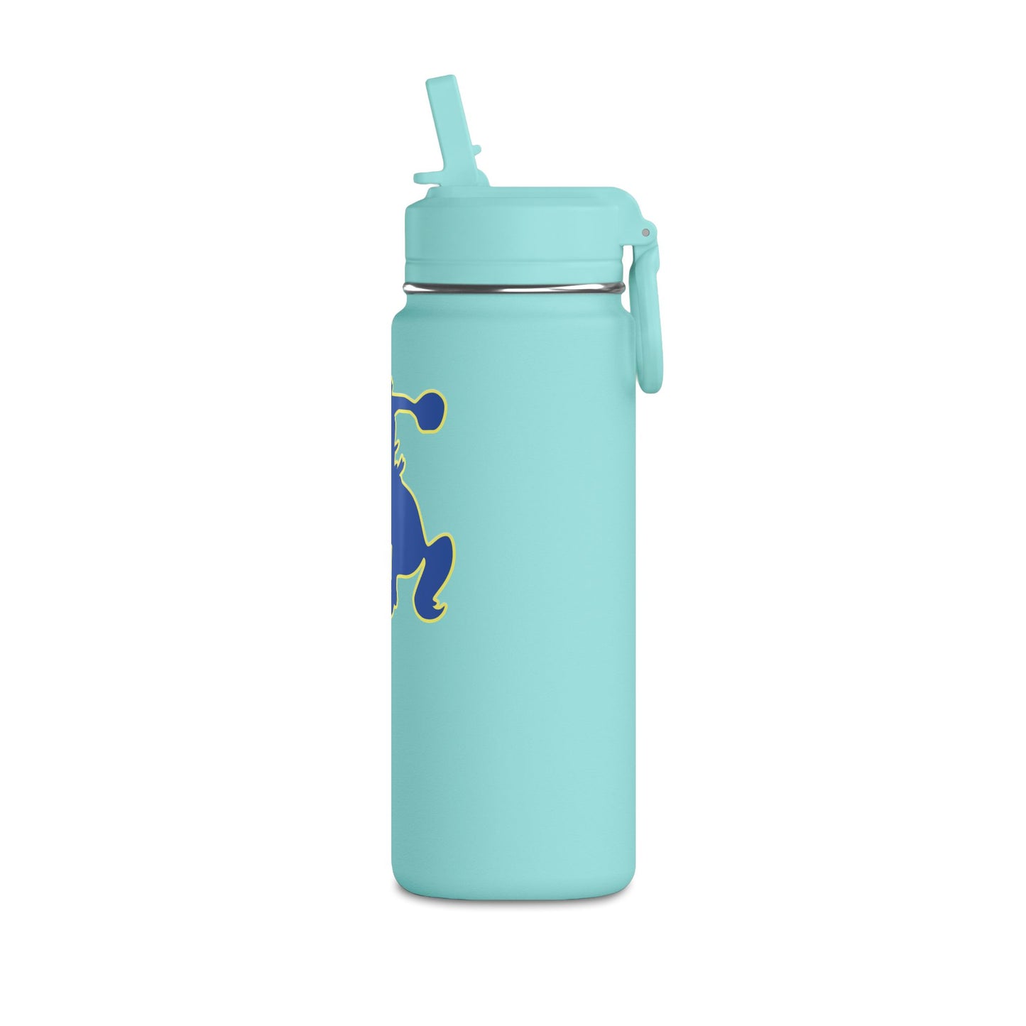 Mini Water Bottle, 20oz