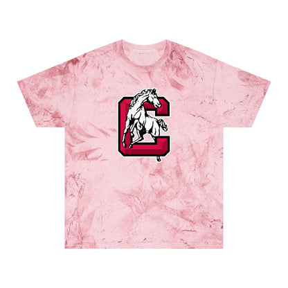 Color Blast School Spirit Tee