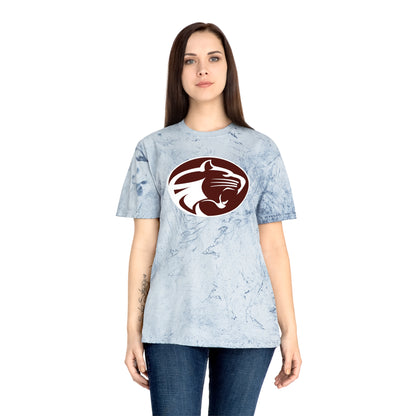 Color Blast School Spirit Tee