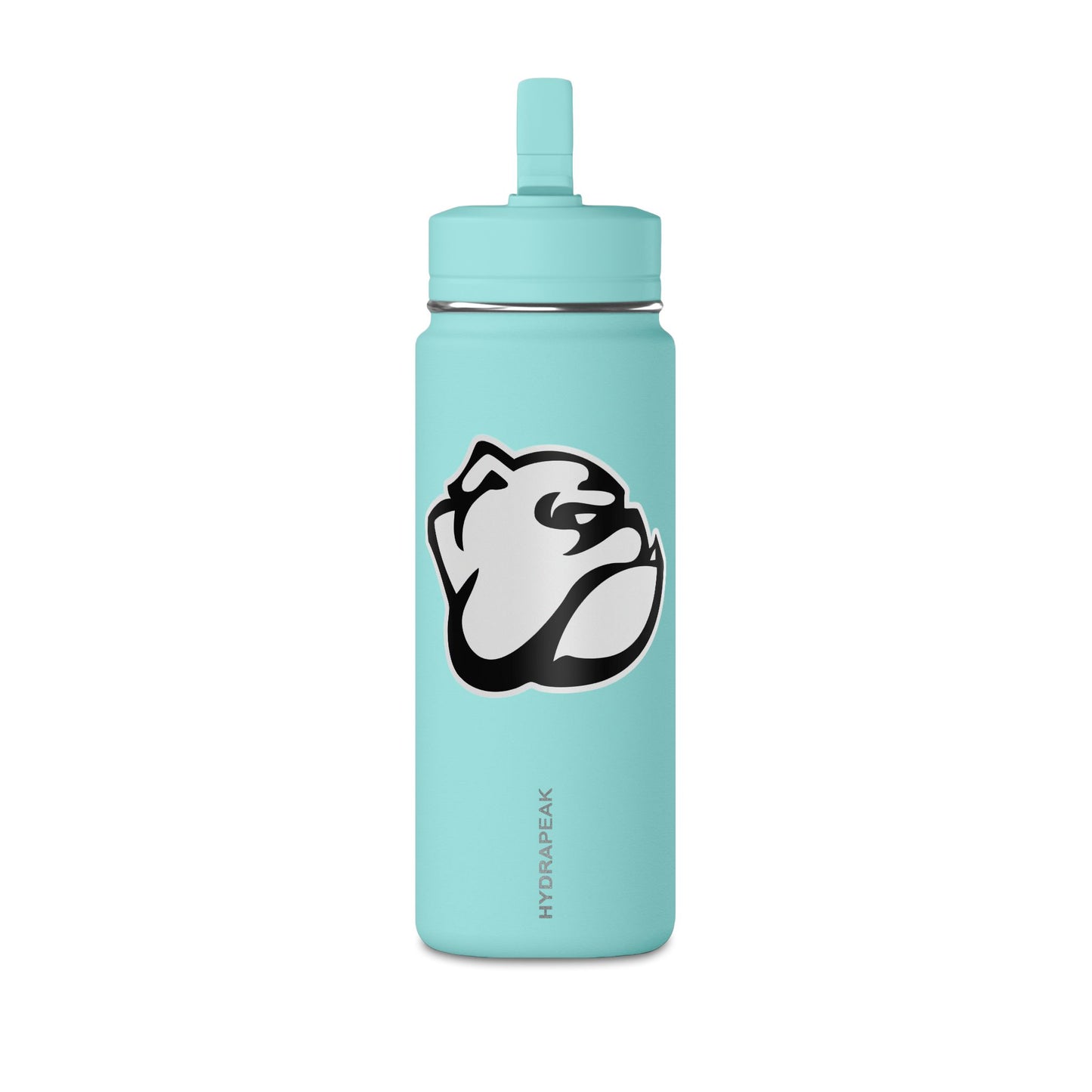 Mini Water Bottle, 20oz