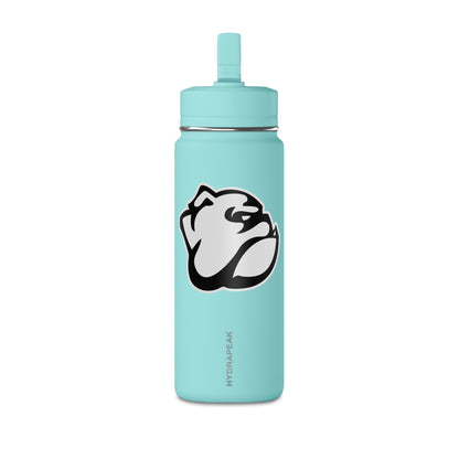 Mini Water Bottle, 20oz