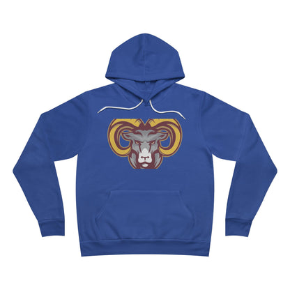 Sponge Fleece Pullover Hoodie
