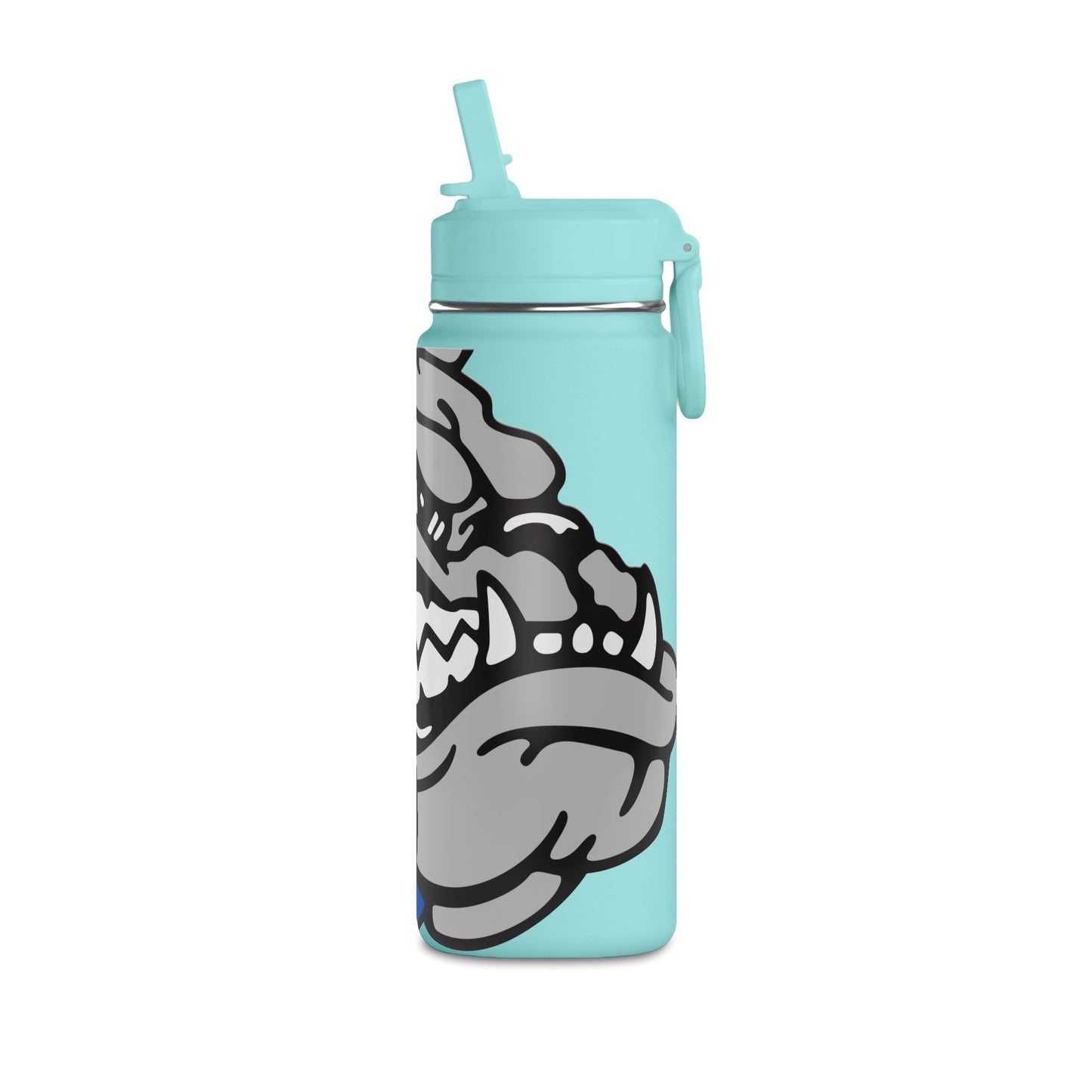 Mini Water Bottle, 20oz