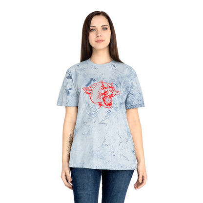 Color Blast School Spirit Tee