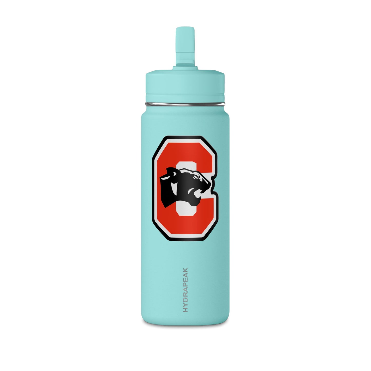 Mini Water Bottle, 20oz
