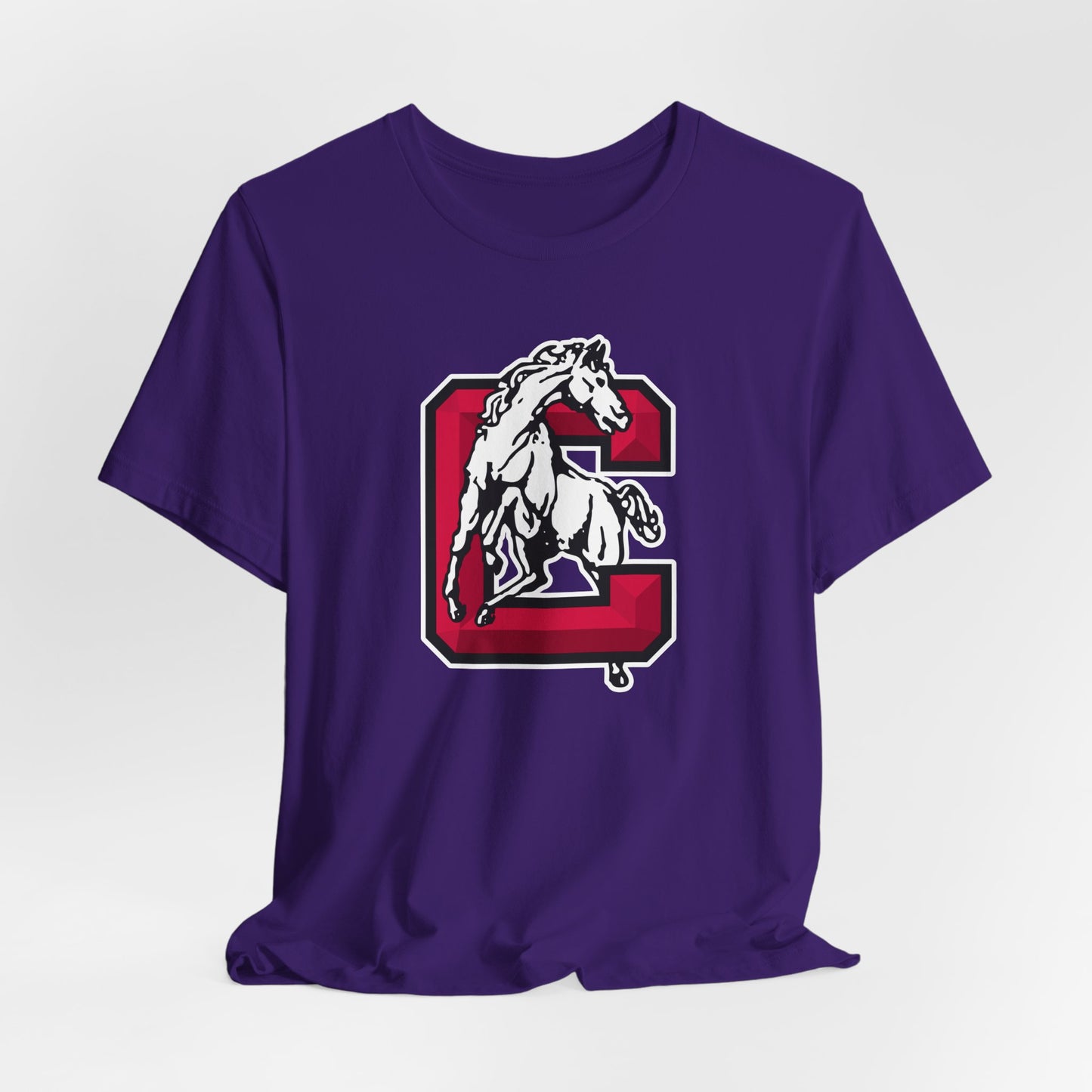 Jersey Short Sleeve Tee