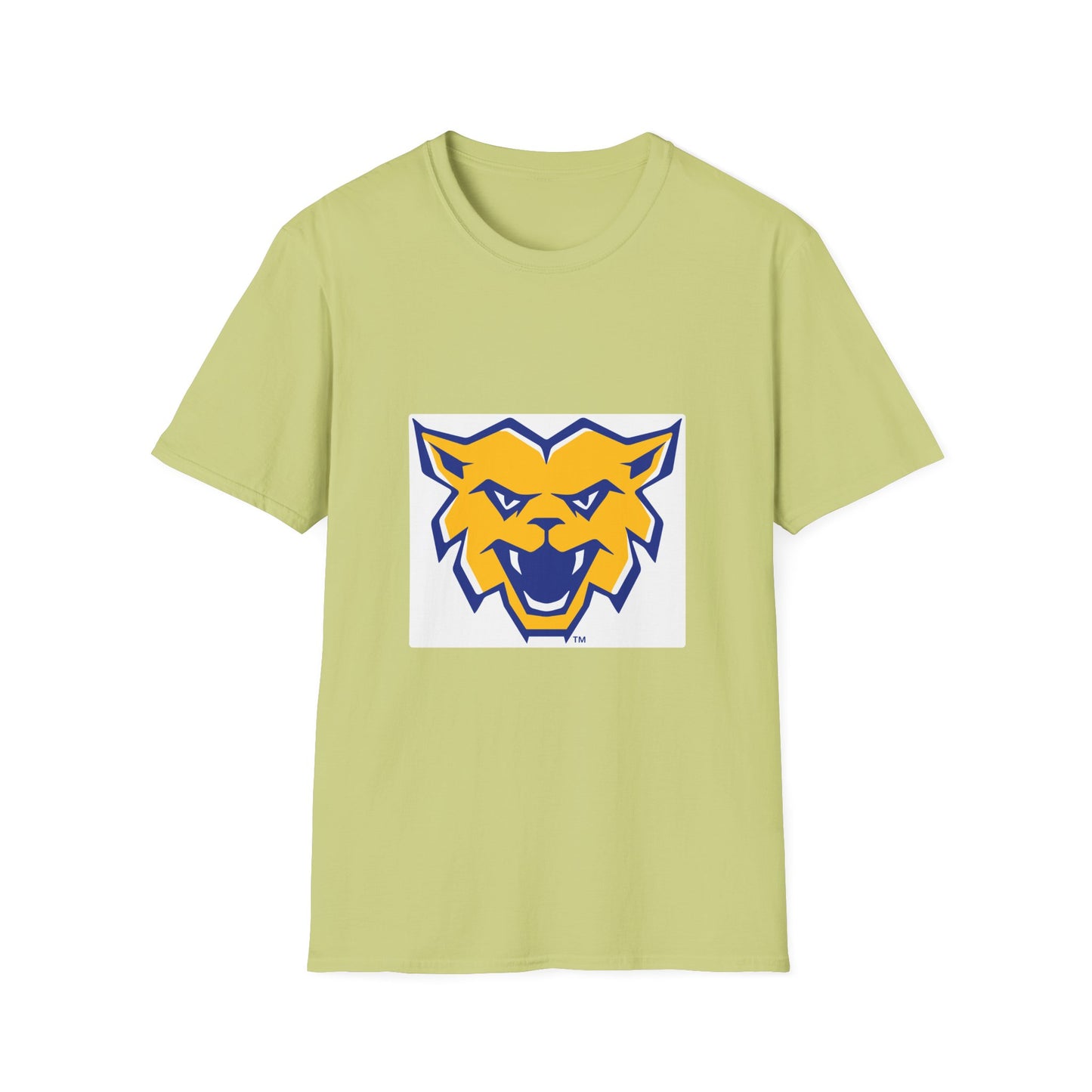 Softstyle T-Shirt