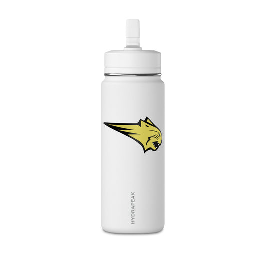 Mini Water Bottle, 20oz