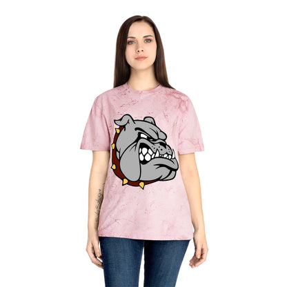 Color Blast School Spirit Tee