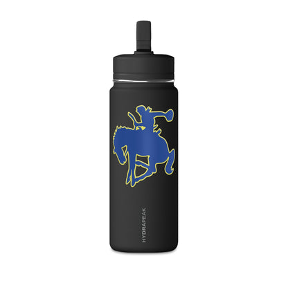 Mini Water Bottle, 20oz