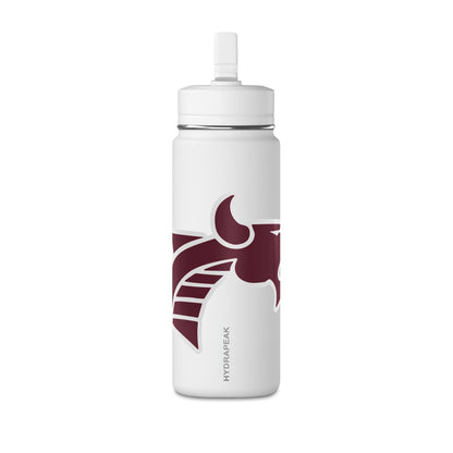 Mini Water Bottle, 20oz