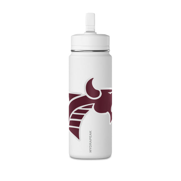 Mini Water Bottle, 20oz